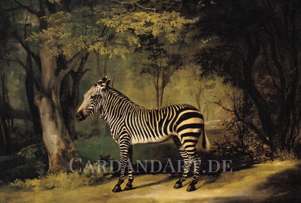 Stubbs: Zebra - Postkarte