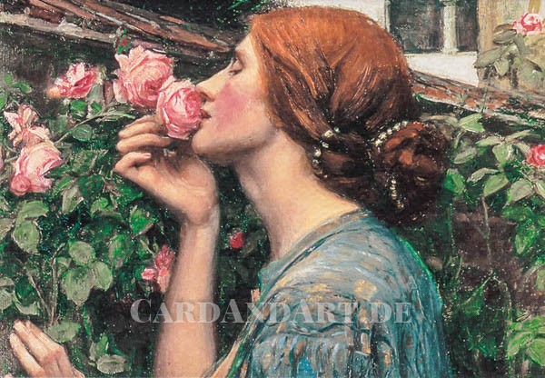 Waterhouse: Die Seele der Rose - Doppelkarte