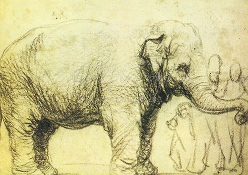 Rembrandt van Rijn: Elefant - Postkarte