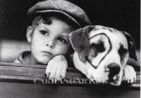 Hundefreundschaft - Postkarte Hundefreundschaft - Postkarte