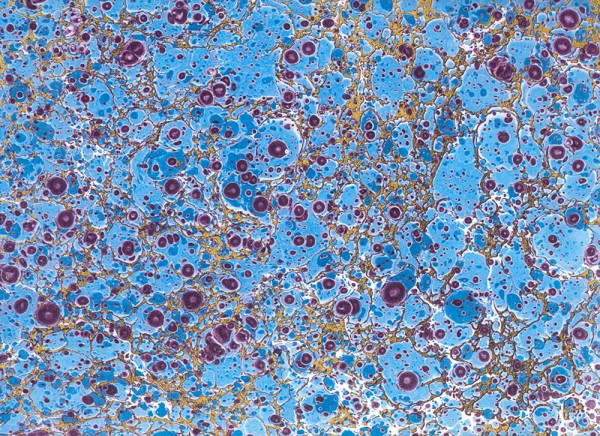 Lapis Nox - Marmorpapier mit goldfarbenem Druck