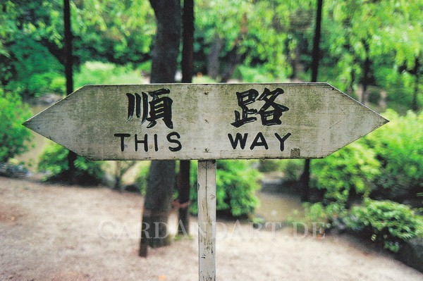 This way - Postkarte