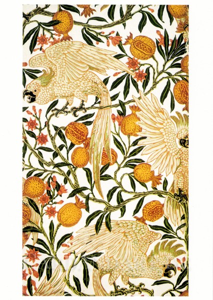 Crane Walter : Cockatoo and Pomegranate - Postkarte
