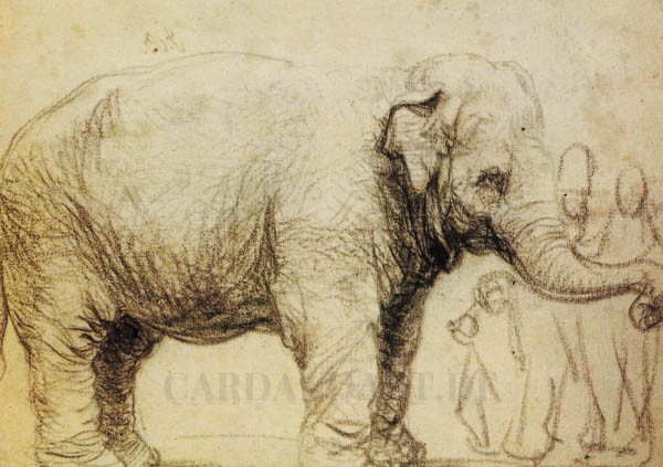 Rembrandt van Rijn: Elefant - Postkarte