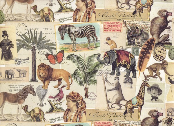 Carte Postale Africa - Geschenkpapier