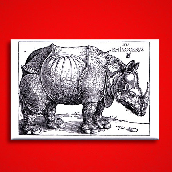 Dürer, Albrecht: Rhinocerus, Magnet