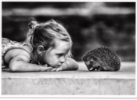 Schau mir in die Augen ... - Postkarte Schau mir in die Augen ... - Postkarte