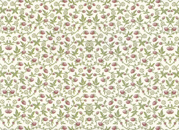 Himbeeren - Carta Varese Papier