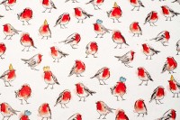 Robins - Geschenkpapier mit Glitzereffekten Robins - Geschenkpapier mit Glitzereffekten