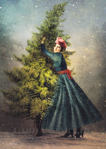 Catrin Welz-Stein, Der Tannenbaum - Klappkarte