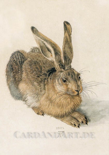 Albrecht Dürer. Der Hase - Postkarte