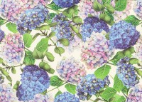 Hortensie - Geschenkpapier aus Italien Hortensie - Geschenkpapier aus Italien