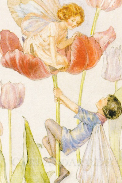 Tarrant Margaret: Tulip Fairies - Postkarte