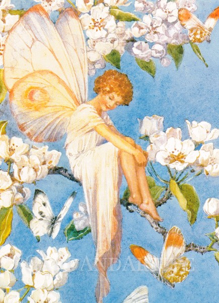 Tarrant Margaret: Pear Blossom Fairy - Postkarte