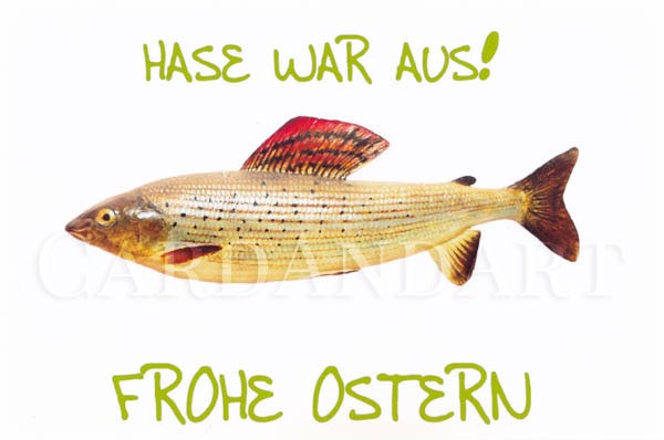 Hase war aus! Frohe Ostern - Postkarte