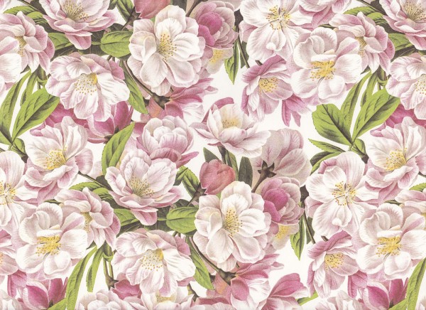 Fiori di pesco - Geschenkpapier aus Italien