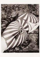 Neith With Shadows - Postkarte Neith With Shadows - Postkarte