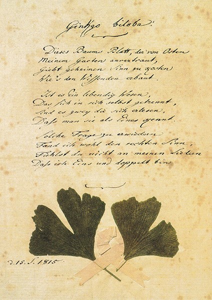 Goethe, J.W., Gedicht "Ginkgo biloba" - Postkarte