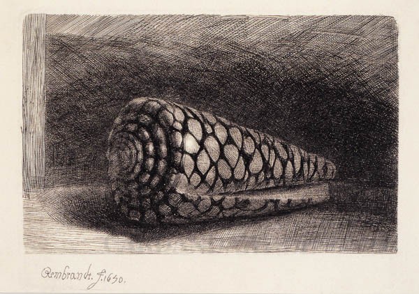 Rembrandt: Die Muschel - Postkarte