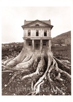 Verwurzeltes Baumhaus - Postkarte Verwurzeltes Baumhaus - Postkarte