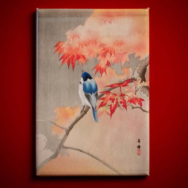 Kako, Blaumeise auf herbstlichem Zweig - Magnet