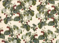 Himbeerstrauch - Geschenkpapier Himbeerstrauch - Geschenkpapier