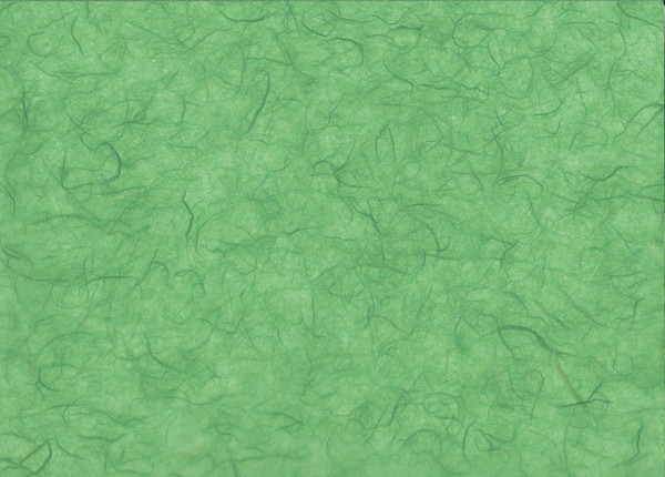 Maulbeerseide tannengrün - Geschenkpapier