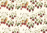 Erdbeerzeit - Geschenkpapier aus Italien Erdbeerzeit - Geschenkpapier aus Italien